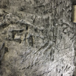 Kaya Duvar Panel